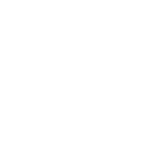 Approved Protocols Icon
